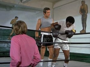 The Six Million Dollar Man 17. epizoda
