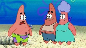 SpongeBob v kalhotách Kdo je tu hlupák?