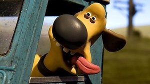 Ovečka Shaun Výstava psů