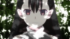 Monogatari 11. epizoda