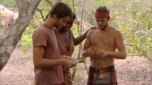 Survivor (USA) Sloučení