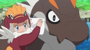 Pokémon Maličká ochránkyně