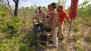 Survivor (USA) Prvních patnáct dní