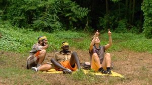 Survivor (USA) Víc hlav víc ví