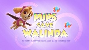Tlapková patrola Tlapky zachraňují Walindu