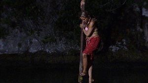 Survivor (USA) 14. epizoda