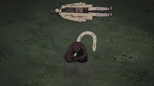 Naruto: Šippúden 304. epizoda