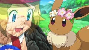 Pokémon Fascinující nález v květinách