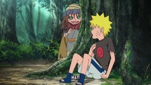 Naruto: Šippúden 314. epizoda