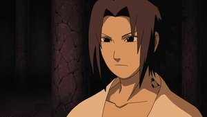 Naruto: Šippúden 316. epizoda