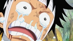 One Piece 505. epizoda