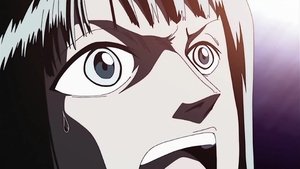 One Piece 431. epizoda