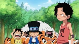 One Piece 499. epizoda