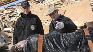Námořní vyšetřovací služba Déja Vu