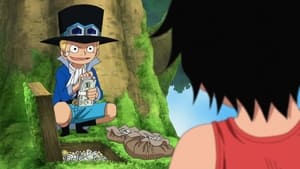One Piece 494. epizoda