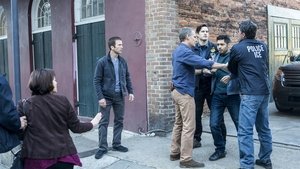 Námořní vyšetřovací služba: New Orleans  Imigranti