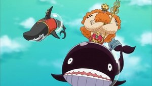 One Piece 531. epizoda