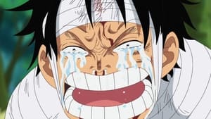 One Piece 491. epizoda