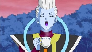 Dragon Ball Super 28. epizoda