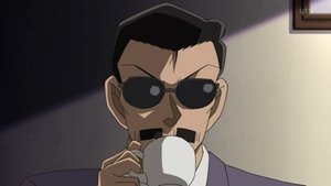Detektiv Conan 29. epizoda