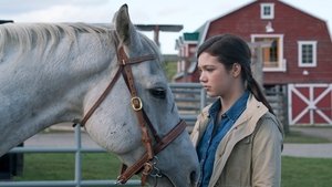 Ranč Heartland 12. epizoda