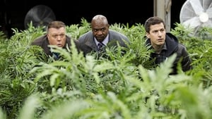 Brooklyn 99 Kancelářské krysy