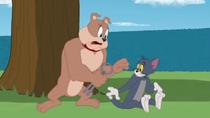 Show Toma a Jerryho Tom zubařem