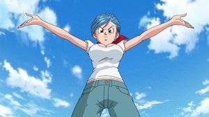 Dragon Ball Super 29. epizoda