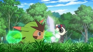 Pokémon Láska útočí, s Eeveem zatočí
