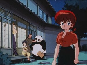 Ranma ½ 17. epizoda