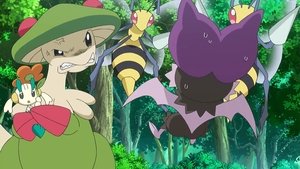 Pokémon Větrné setkání