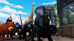 Kouzelná Beruška a Černý kocour Animál