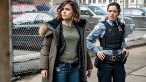 Policie Chicago Kdybychom byli normální