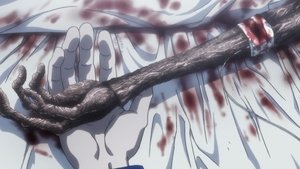 Hunter x Hunter 145. epizoda