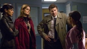 Sběratelé kostí Doktor v tygřím výběhu