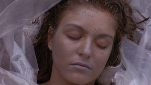 Městečko Twin Peaks 1. část