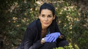Rizzoli & Isles: Vraždy na pitevně 9. epizoda