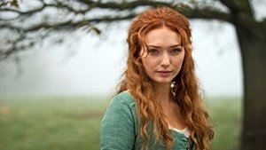 Poldark Solventnost