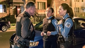 Policie Chicago Velcí přátelé i nepřátelé