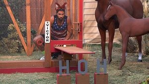 Big Brother 35. epizoda