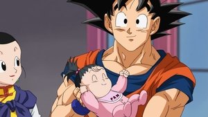Dragon Ball Super 43. epizoda