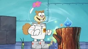 SpongeBob v kalhotách Dokonalá chemie