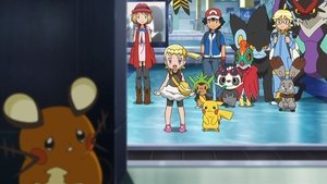 Pokémon Dokud se znovu neutkáme
