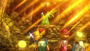 Pokémon Tváří v tvář potřebám mnohých