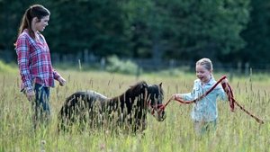 Ranč Heartland 9. epizoda