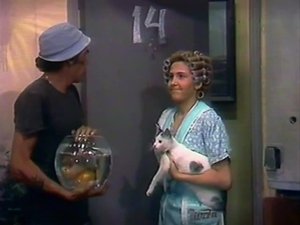 El Chavo del Ocho 23. epizoda