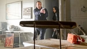 Agenti S.H.I.E.L.D. Muž za štítem