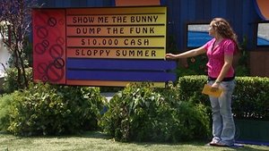 Big Brother 15. epizoda
