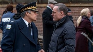 Policie Chicago Doznání