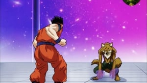 Dragon Ball Super 80. epizoda